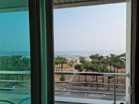 Pine Beach Yangyang Dış mekan fotoğraf