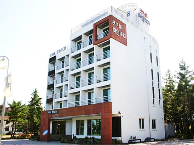 Pine Beach Yangyang Dış mekan fotoğraf