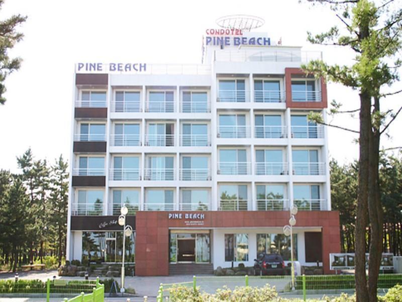 Pine Beach Yangyang Dış mekan fotoğraf