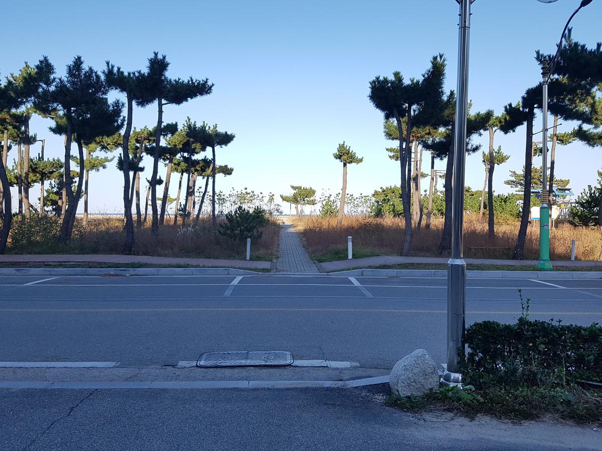 Pine Beach Yangyang Dış mekan fotoğraf